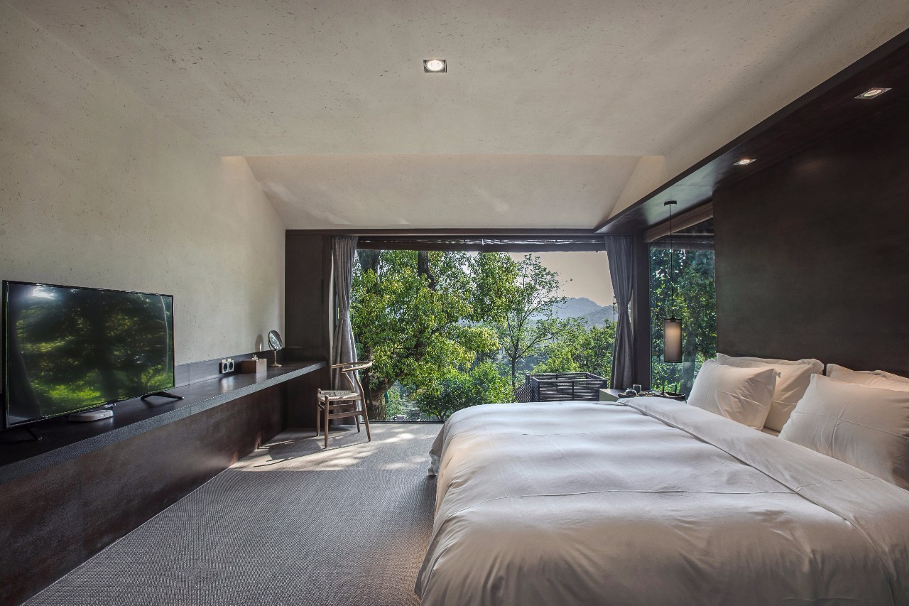 杭州龍井茂居民宿，在茶田之中枕著茶香入睡