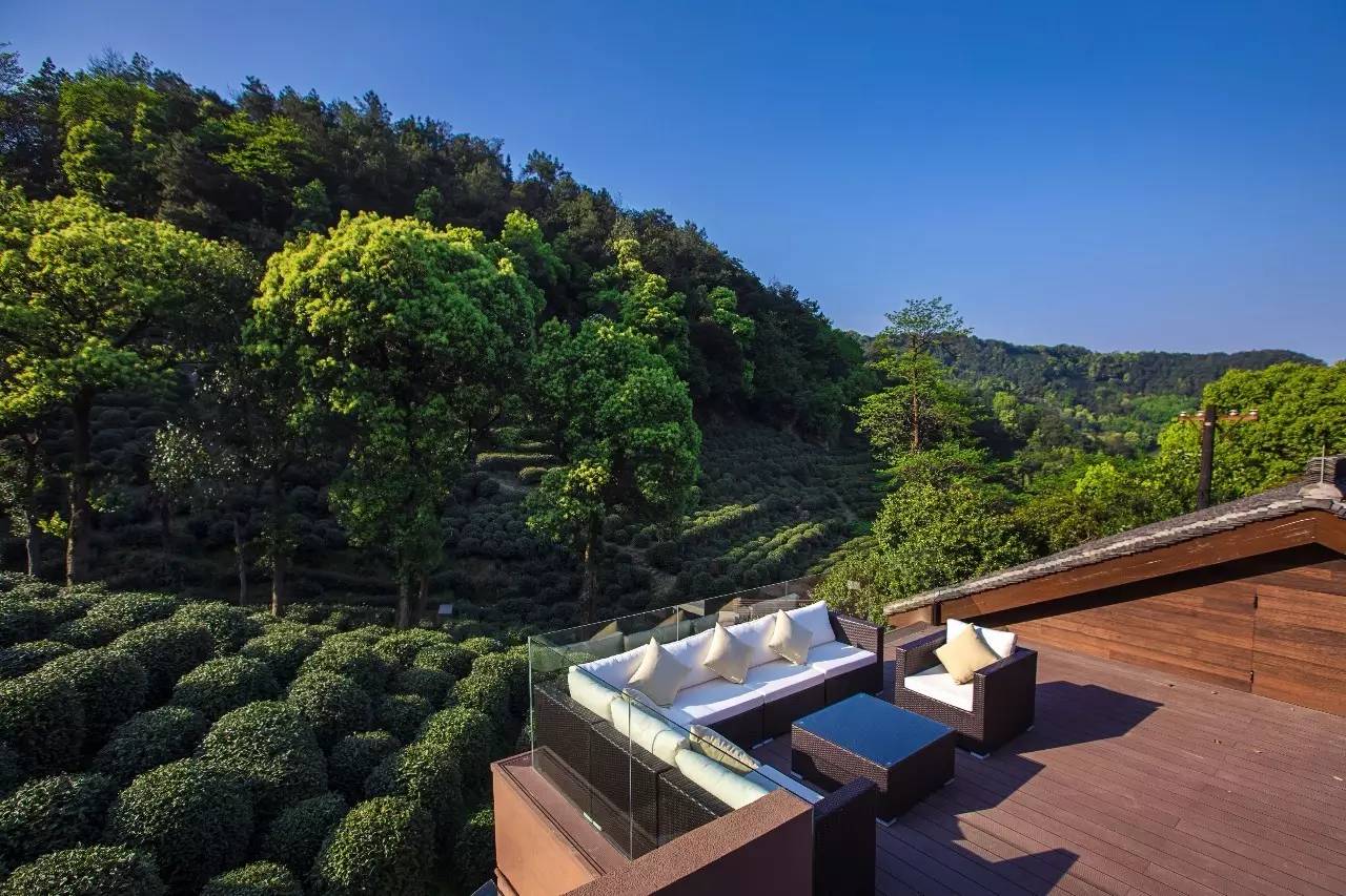 杭州龍井茂居民宿，在茶田之中枕著茶香入睡