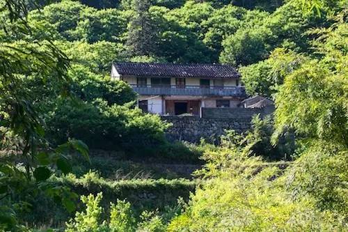 上虞陳溪鄉(xiāng)雪花谷民宿，在山谷里與自然相伴