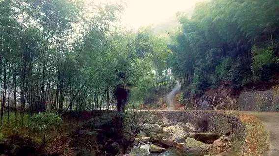 上虞陳溪鄉(xiāng)雪花谷民宿，在山谷里與自然相伴