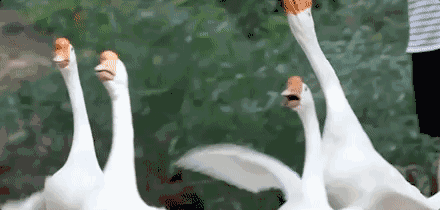 上虞陳溪鄉(xiāng)雪花谷民宿，在山谷里與自然相伴