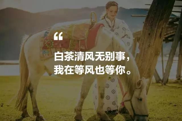 藝棧藏式客棧，我在等風(fēng)也在等你