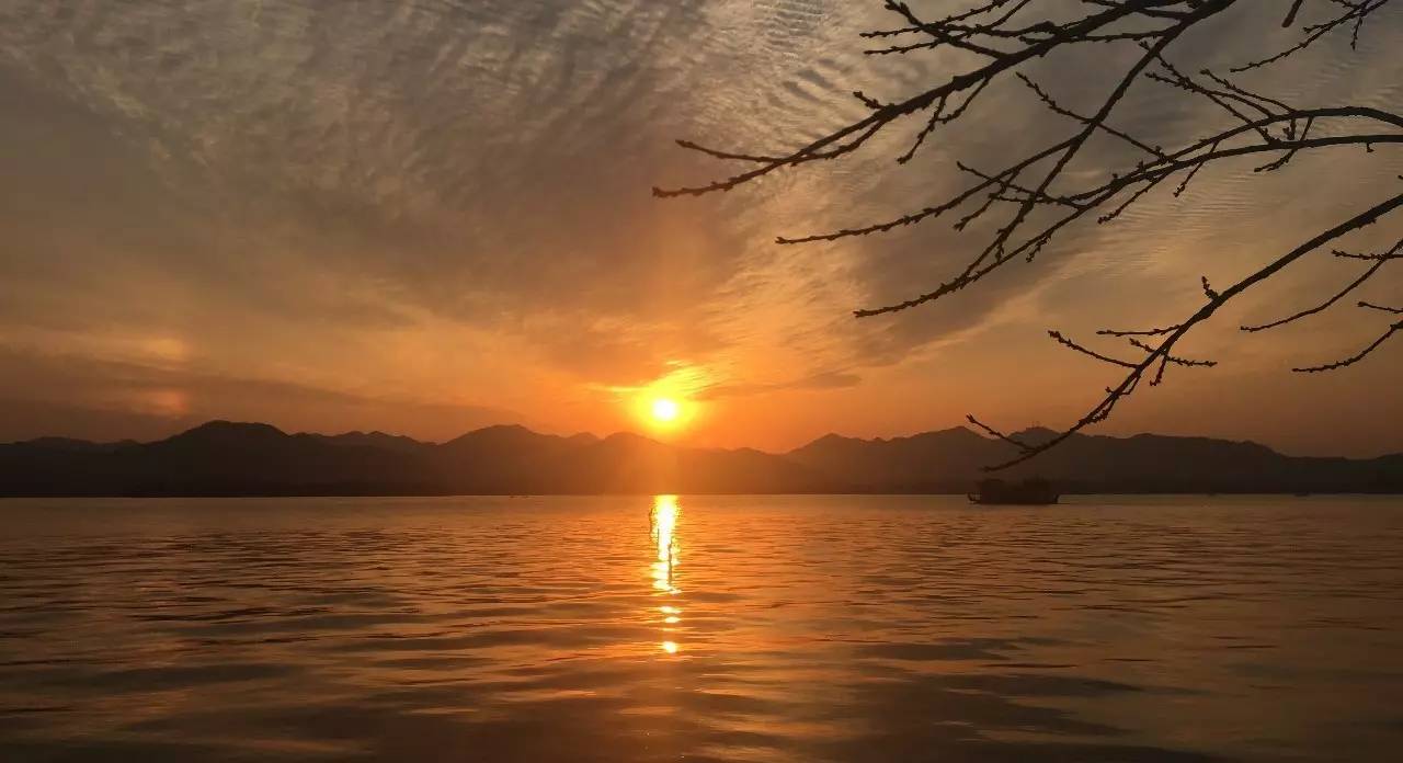 青桐·青竹茶舍，茶香縹緲靜賞西湖