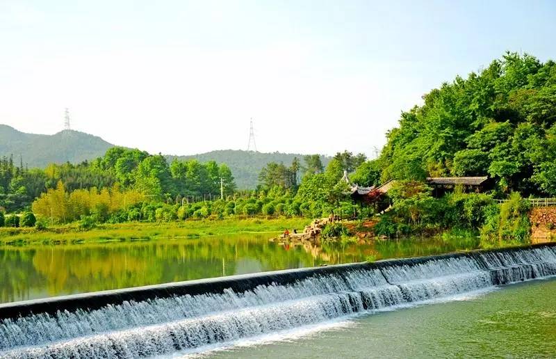 武義一水間民宿，一茶一飲盡享清閑