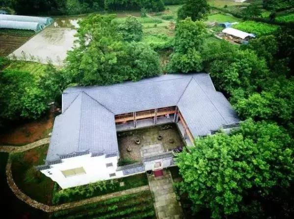 武義一水間民宿，一茶一飲盡享清閑