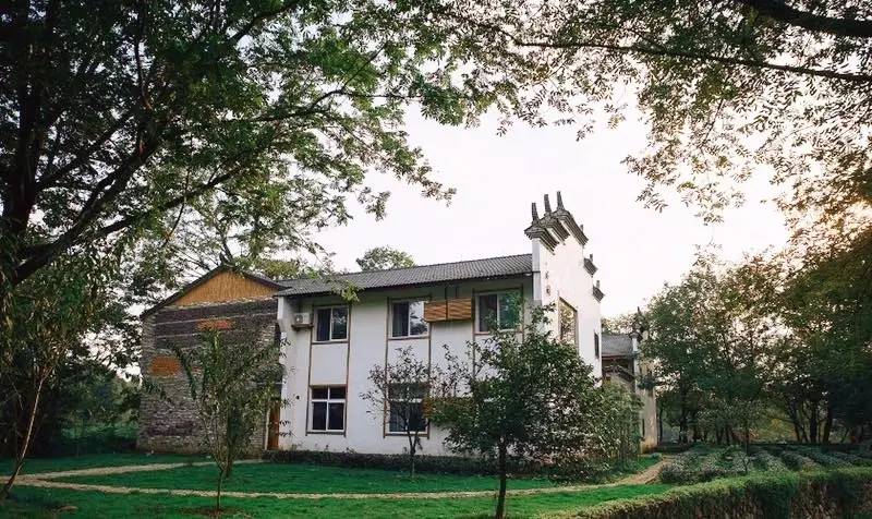 武義一水間民宿，一茶一飲盡享清閑