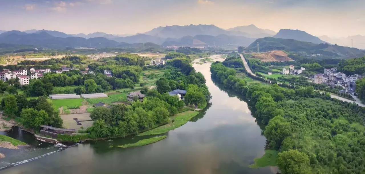 武義一水間民宿，一茶一飲盡享清閑