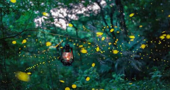 武義一水間民宿，一茶一飲盡享清閑