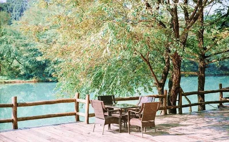 武義一水間民宿，一茶一飲盡享清閑