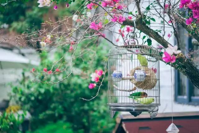 悠然別苑民宿設(shè)計(jì)，聽海風(fēng)的聲音