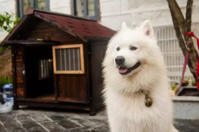 悠然別苑民宿設(shè)計(jì)，聽海風(fēng)的聲音