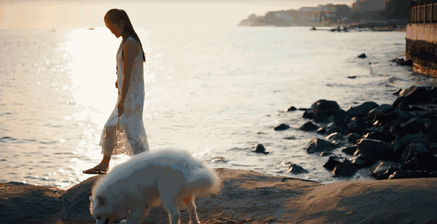 悠然別苑民宿設(shè)計(jì)，聽海風(fēng)的聲音