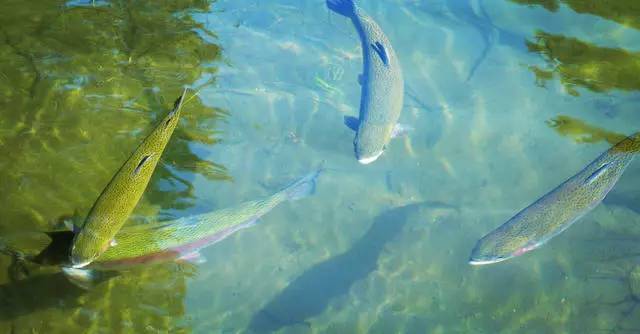 中香界長城小院，向往的最初生活