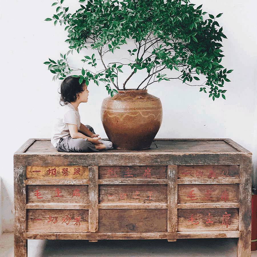 西坡千島湖民宿酒店，瓦爾登湖的自由生活