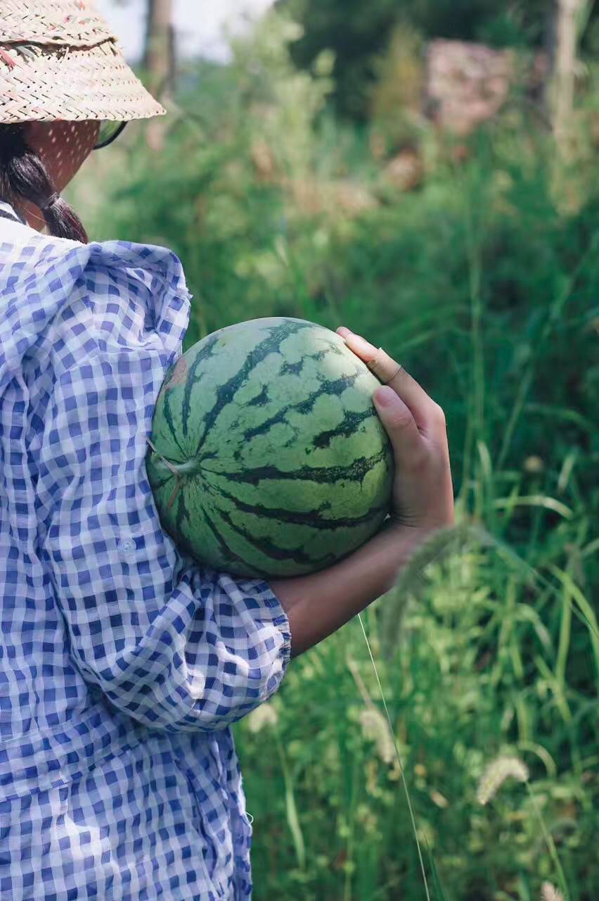 西坡千島湖民宿酒店，瓦爾登湖的自由生活