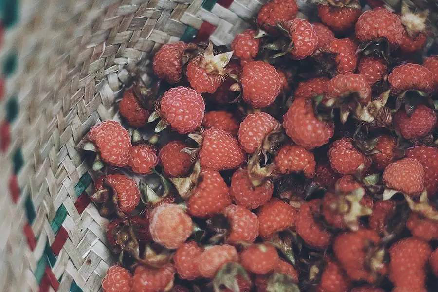 西坡千島湖民宿酒店，瓦爾登湖的自由生活