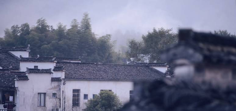 南屏喜舍民宿，從南方飛入徽州白墻灰瓦的歸燕