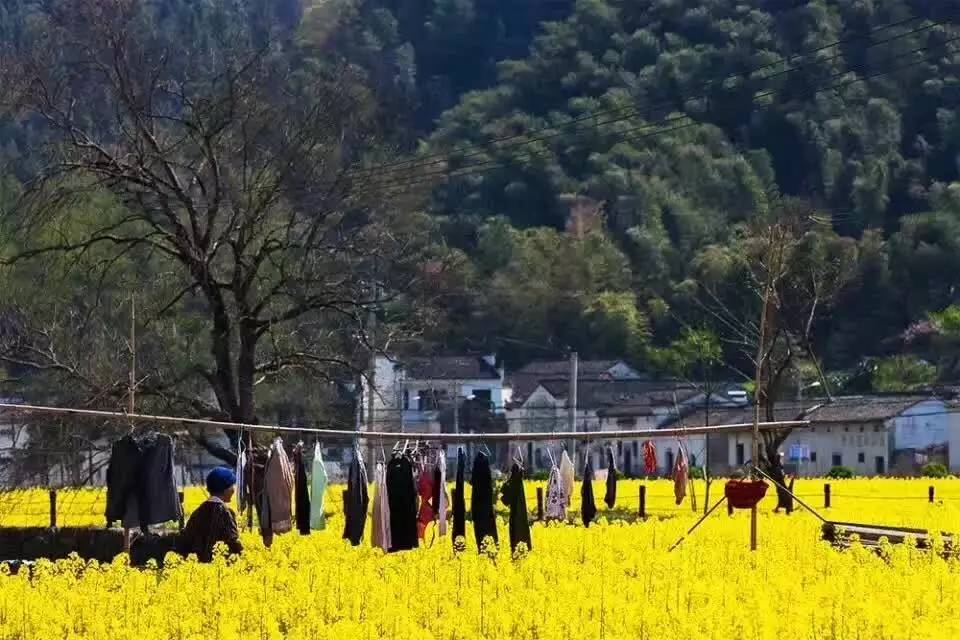 南屏喜舍民宿，從南方飛入徽州白墻灰瓦的歸燕