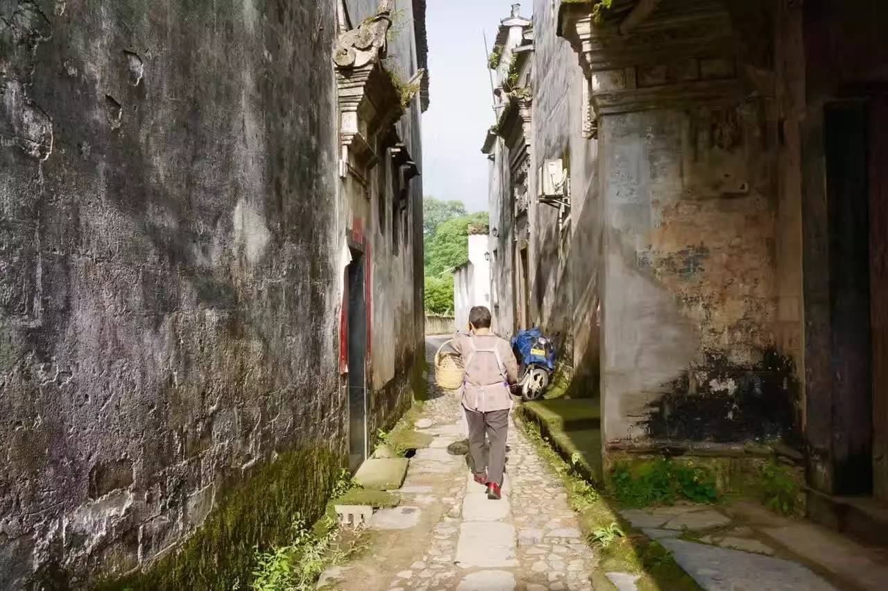 南屏喜舍民宿，從南方飛入徽州白墻灰瓦的歸燕