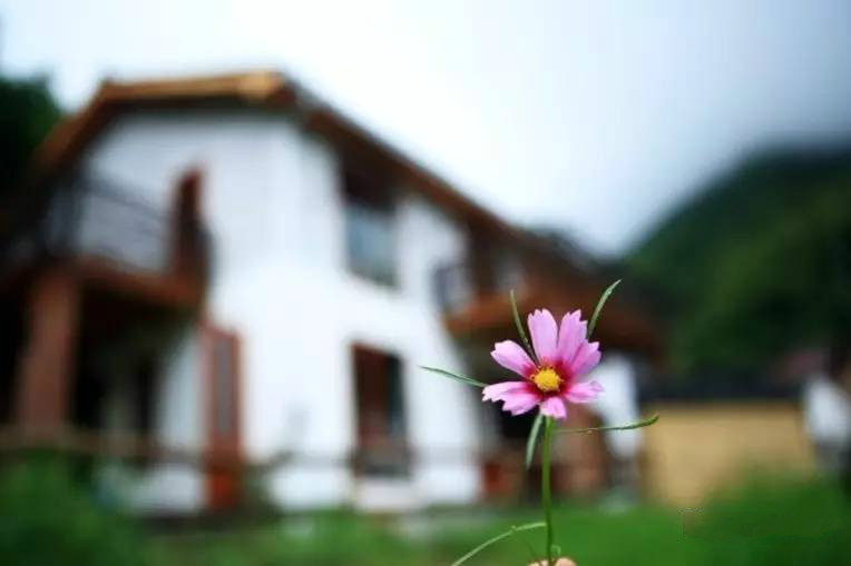 桐廬秘境民宿，不一樣人間秘境山鄉(xiāng)生活