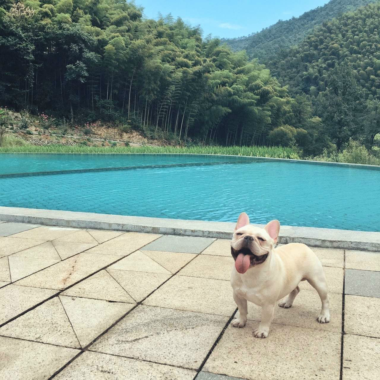 桐廬秘境民宿，不一樣人間秘境山鄉(xiāng)生活