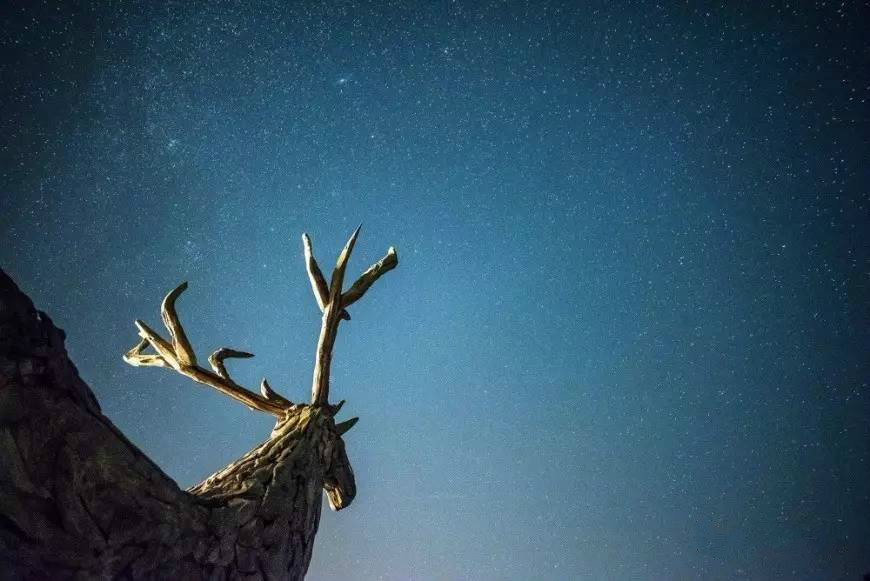 桐廬秘境民宿，不一樣人間秘境山鄉(xiāng)生活