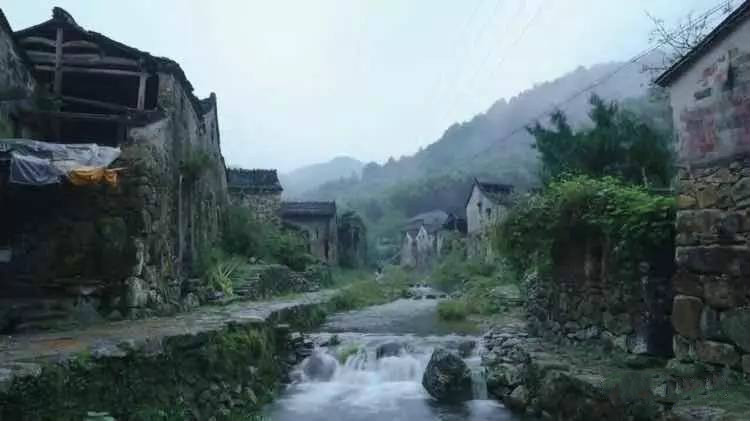 草宿民宿，愿做一顆草向往山間無拘無束的生活