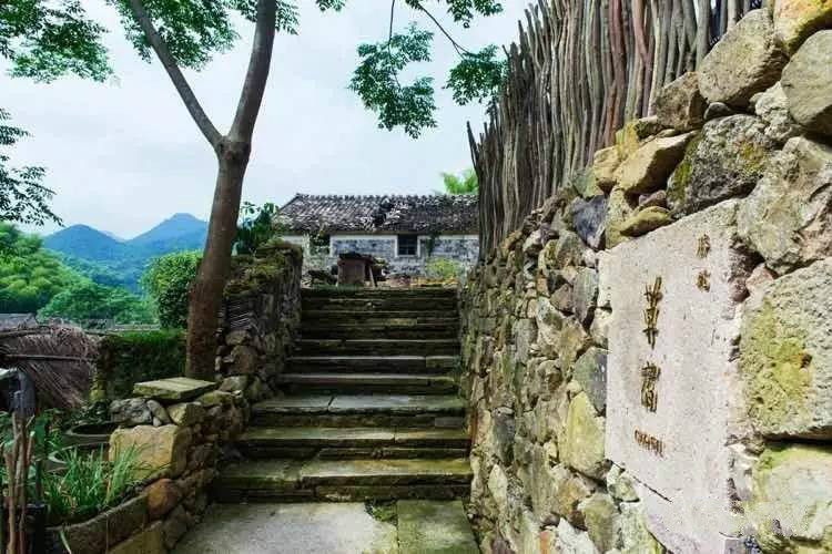 草宿民宿，愿做一顆草向往山間無拘無束的生活