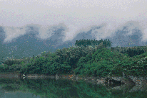 草宿民宿，愿做一顆草向往山間無拘無束的生活