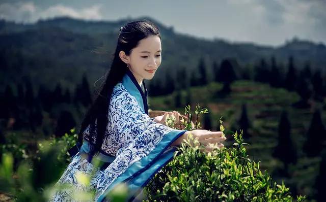 熹園茶宿，禪茶一宿悠然山水間