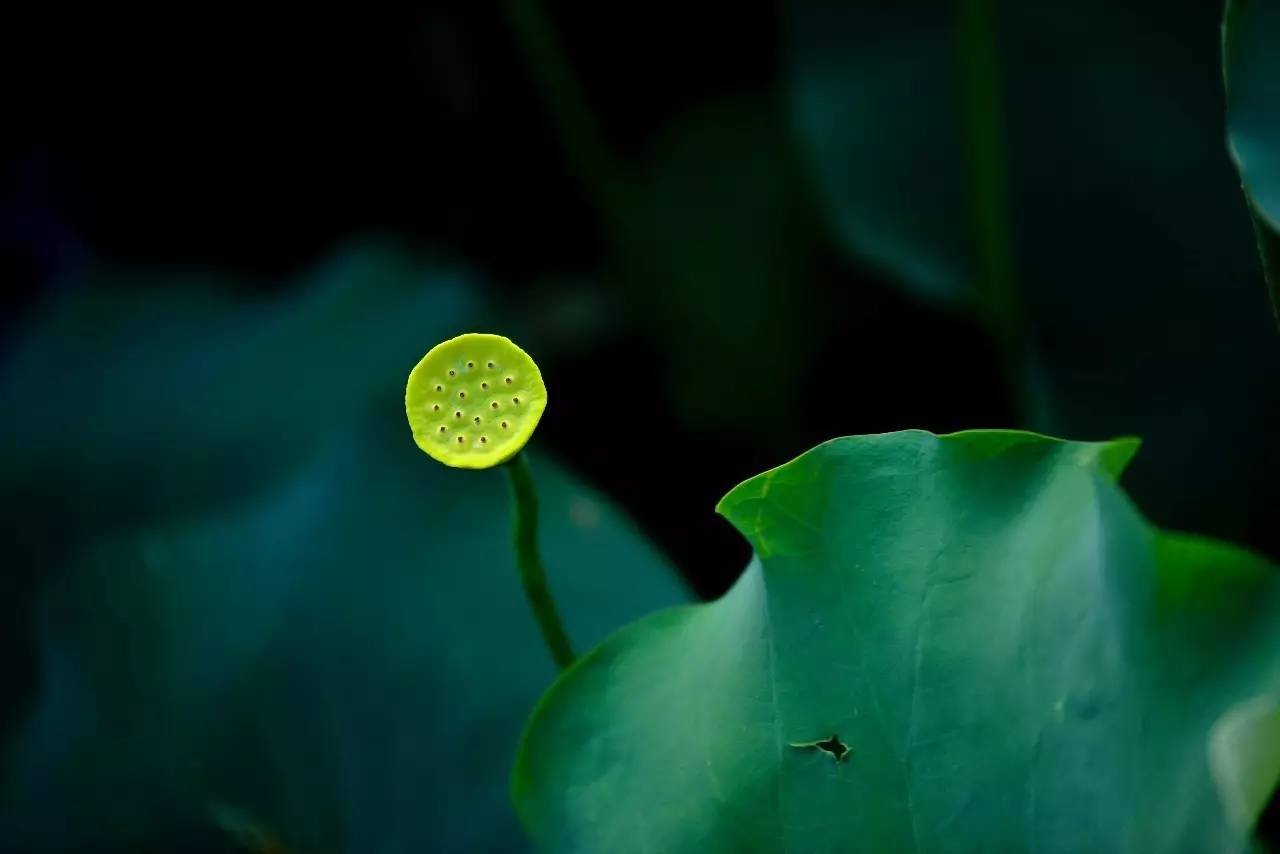 熹園茶宿，禪茶一宿悠然山水間