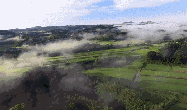 熹園茶宿，禪茶一宿悠然山水間