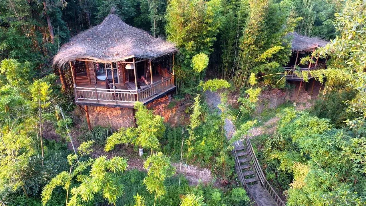 大來(lái)山樹(shù)屋民宿，喚醒古老村莊留住青山綠水