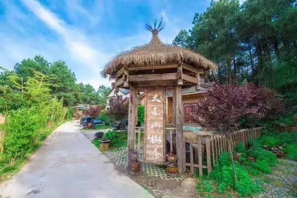 大來山樹屋民宿，喚醒古老村莊留住青山綠水