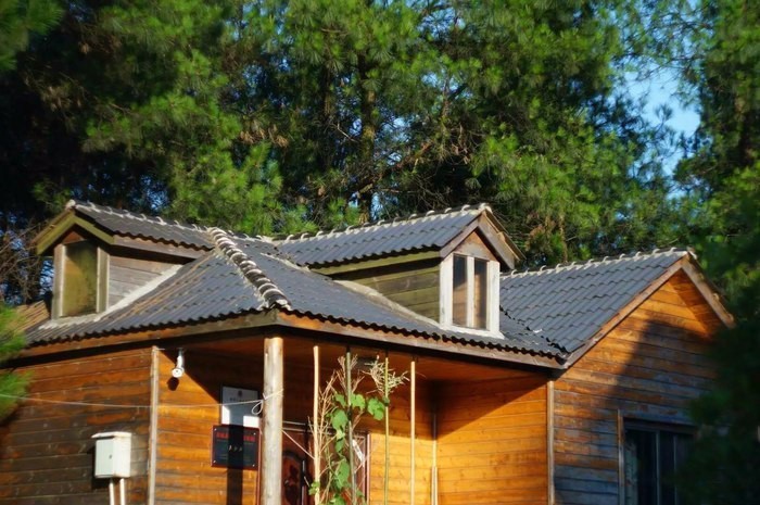 大來山樹屋民宿，喚醒古老村莊留住青山綠水