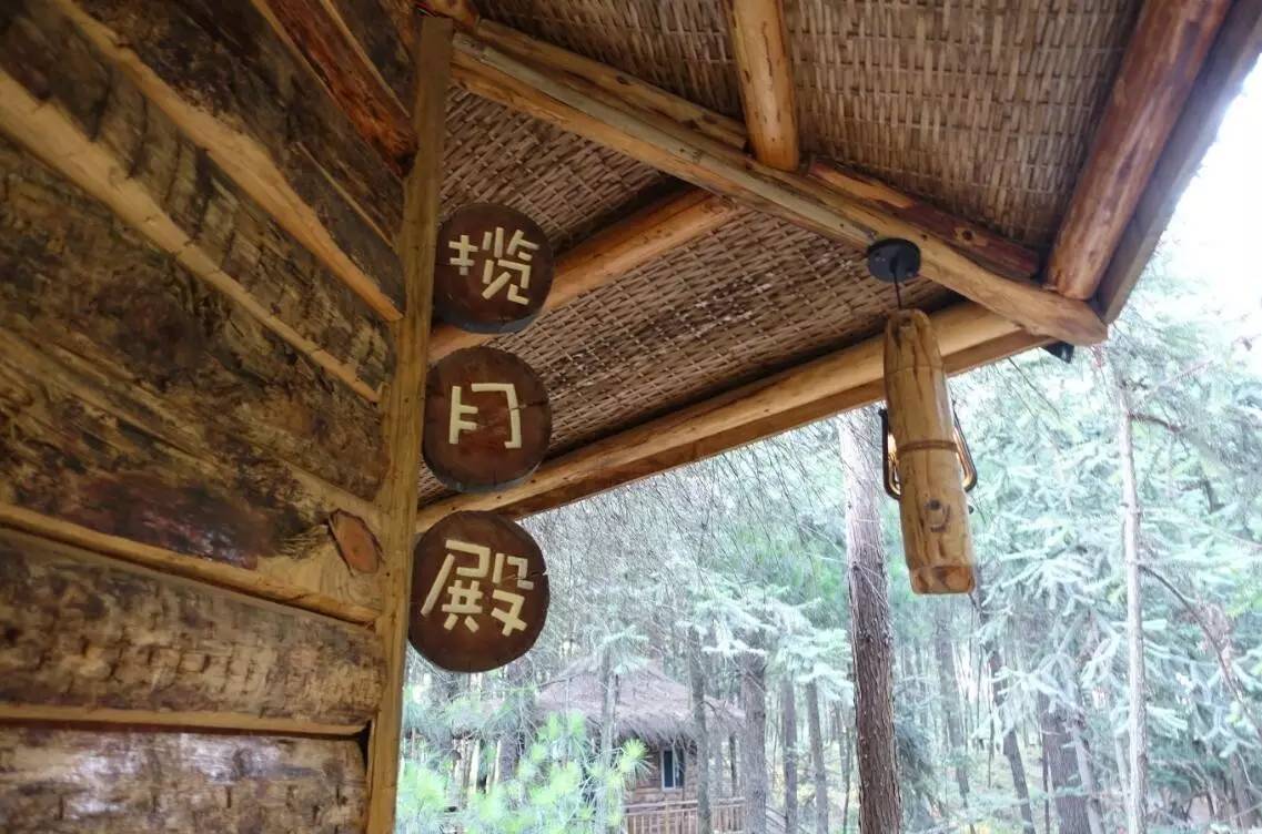 大來山樹屋民宿，喚醒古老村莊留住青山綠水