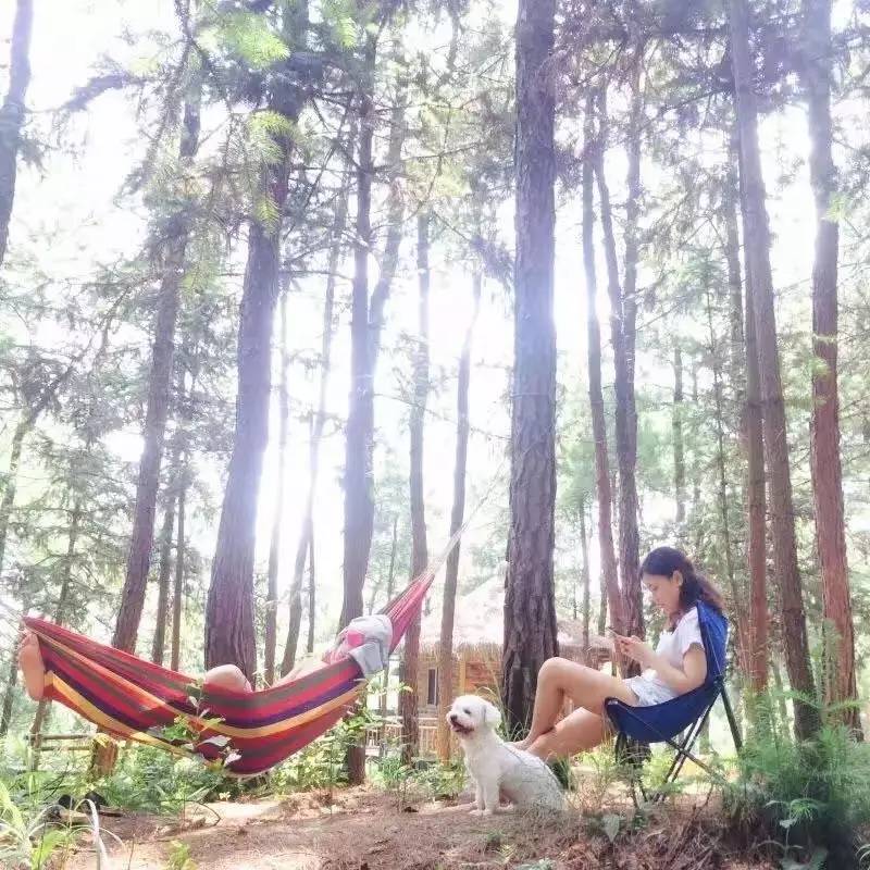 大來山樹屋民宿，喚醒古老村莊留住青山綠水