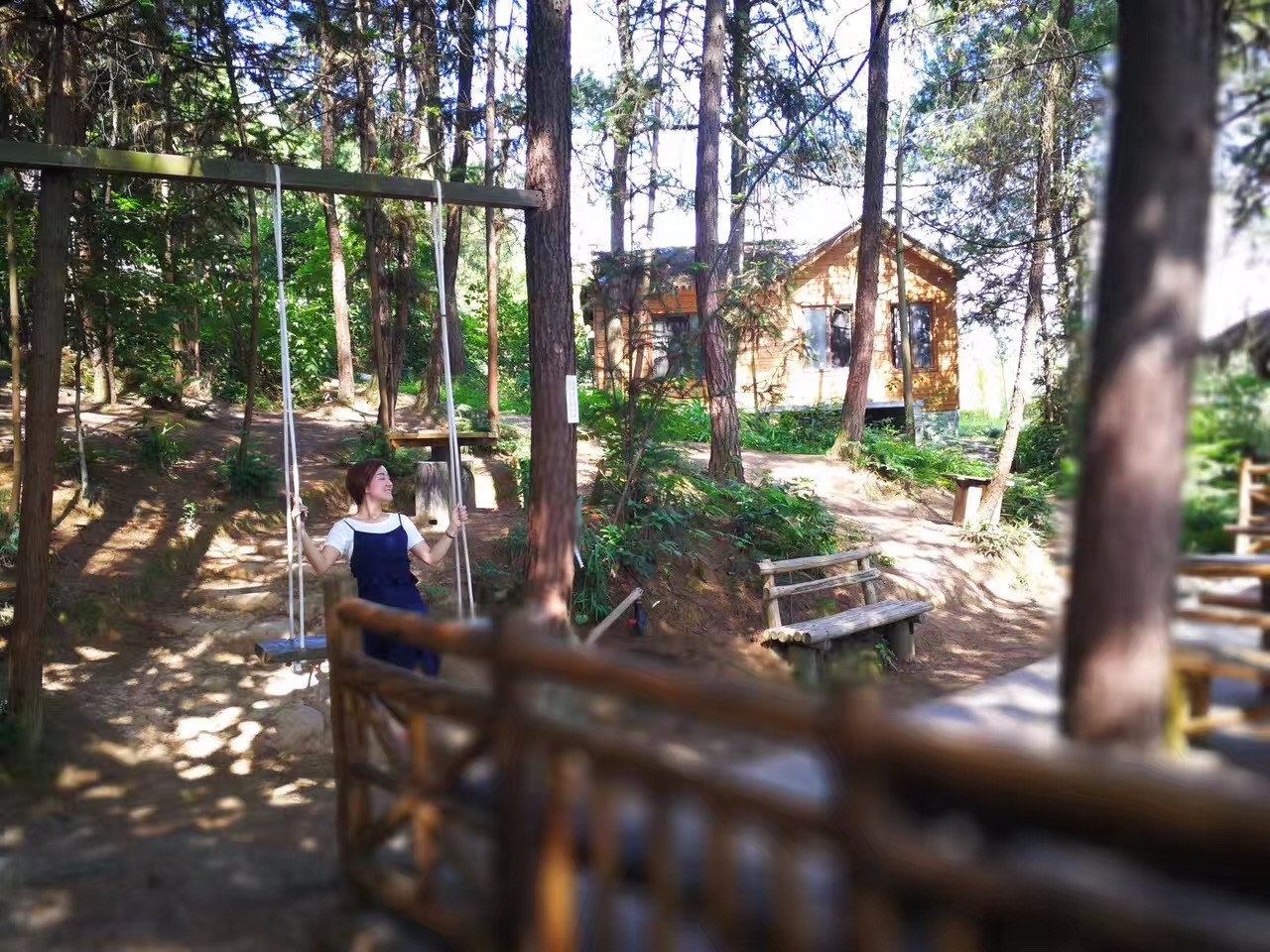 大來山樹屋民宿，喚醒古老村莊留住青山綠水