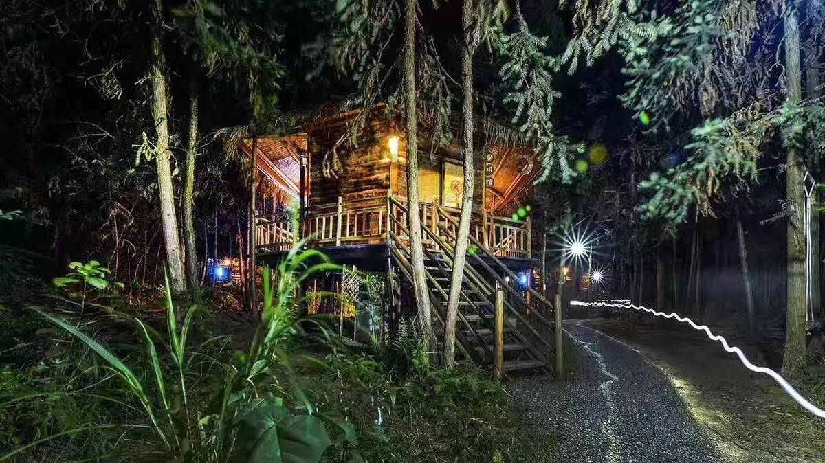 大來山樹屋民宿，喚醒古老村莊留住青山綠水