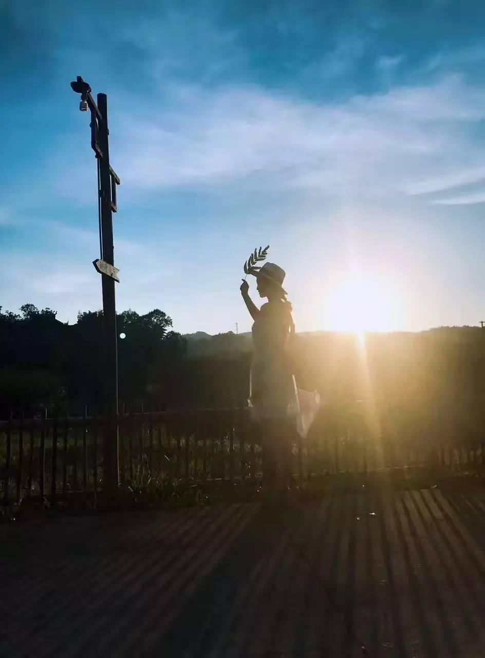 大來山樹屋民宿，喚醒古老村莊留住青山綠水