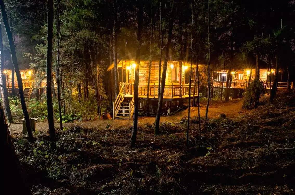 大來山樹屋民宿，喚醒古老村莊留住青山綠水