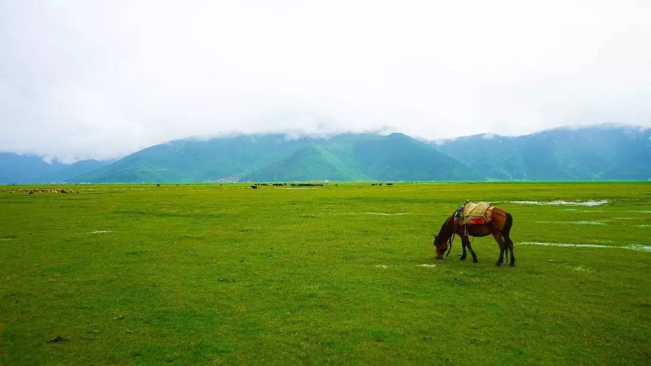 卓廬若家民宿，體味百年老宅的韻味