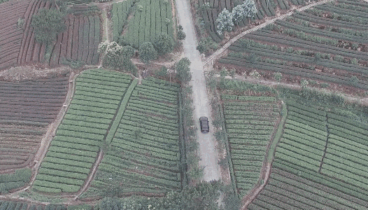 卓廬若家民宿，體味百年老宅的韻味