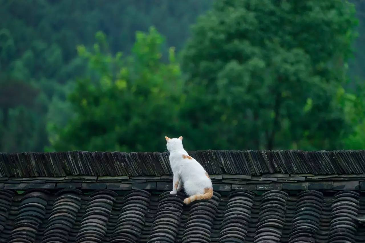 碧山·工銷社，傳承手藝延續(xù)文化