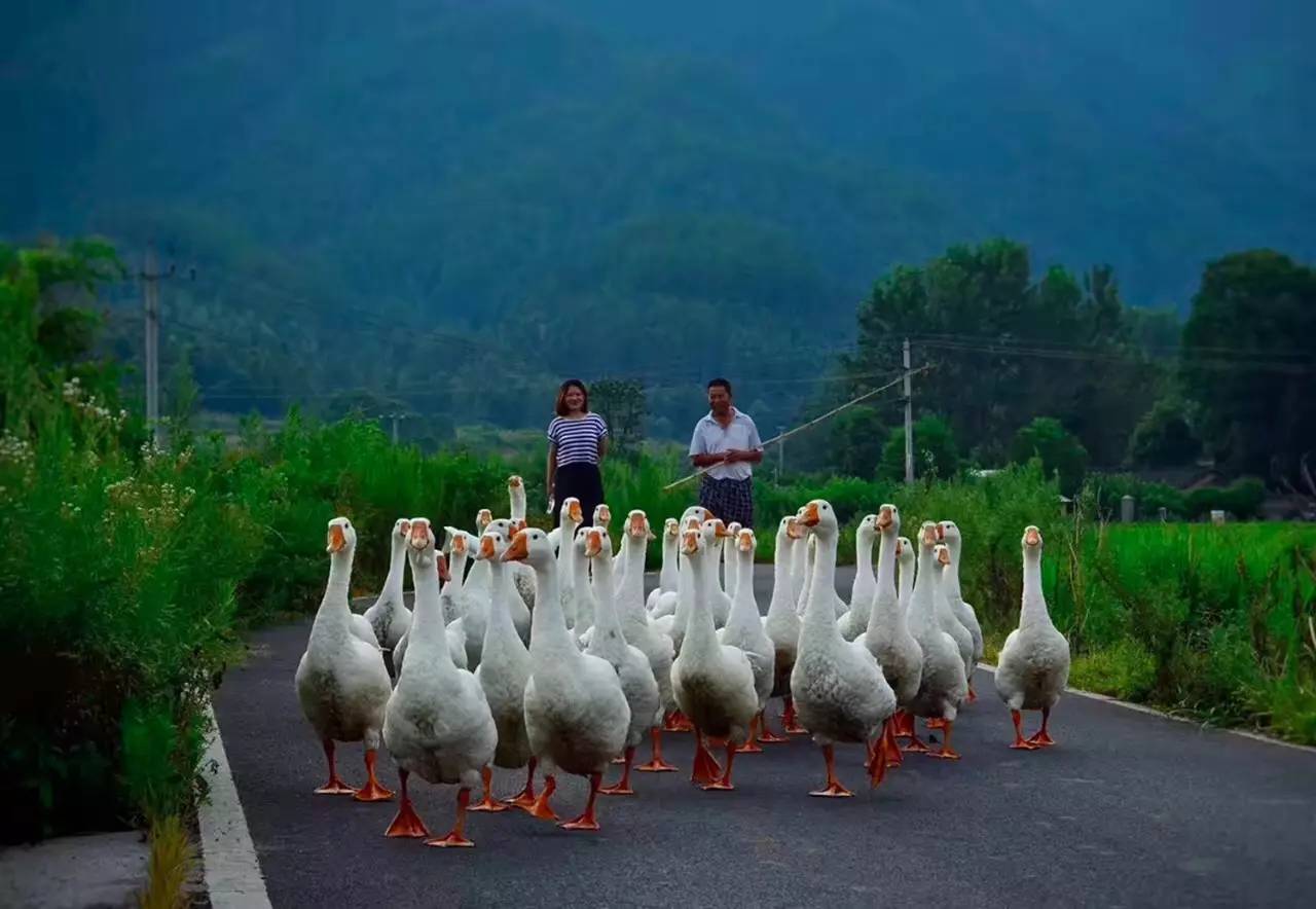 碧山·工銷社，傳承手藝延續(xù)文化
