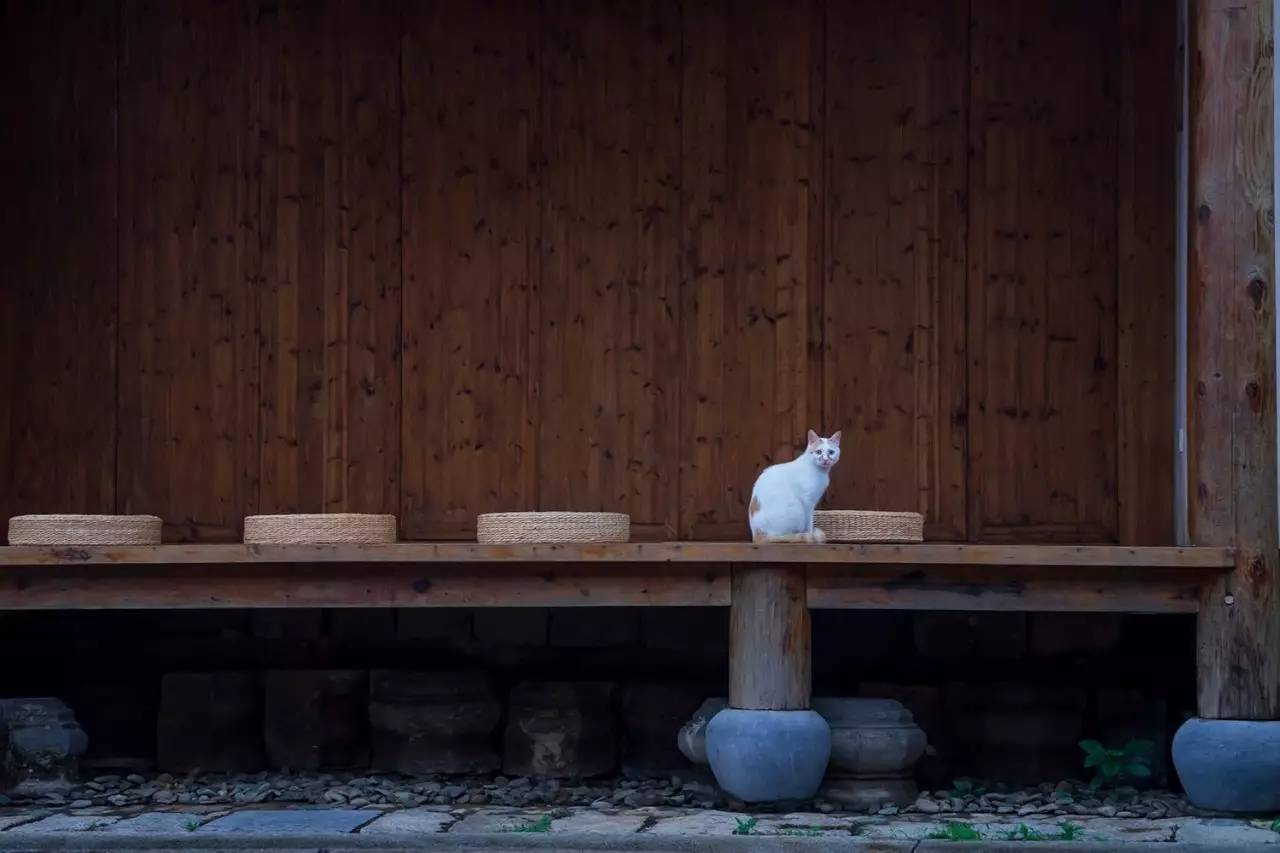 碧山·工銷社，傳承手藝延續(xù)文化