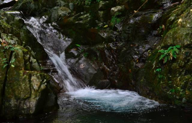 不舍·野馬嶺中國村民宿，樂在其中不忘初心