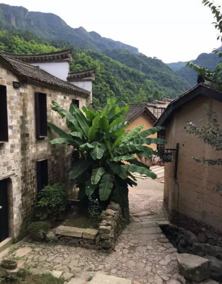 不舍·野馬嶺中國村民宿，樂在其中不忘初心