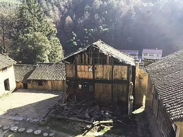 不舍·野馬嶺中國(guó)村民宿，樂(lè)在其中不忘初心