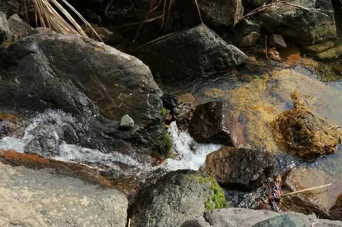 不舍·野馬嶺中國(guó)村民宿，樂(lè)在其中不忘初心